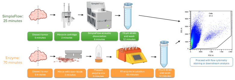 Flow cytometry sample workflow: Enzymatic digestion vs. acoustic enzyme-free dissociation