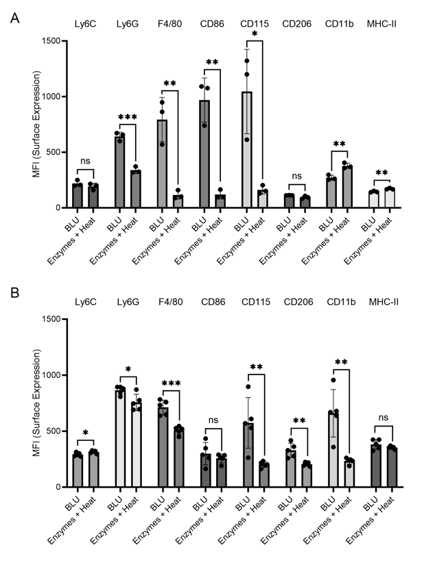 Mouse-Brain-Blog-Fig4