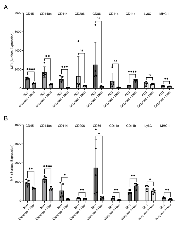 Comparison of myeloid cell marker expression on live cells isolated via enzymatic or BLU dissociation of heart tissue