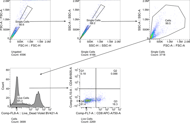 Mouse Lung Figure 4