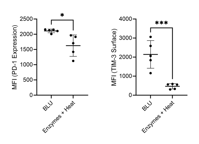 Mouse Lung Figure 5