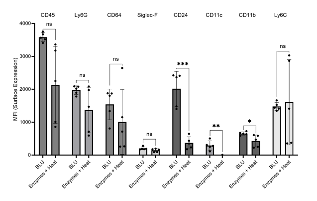 Mouse Lung Figure 6