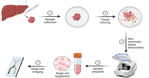 [Test] Single-cell characterization of non-native cells circulating in blood (Clone)