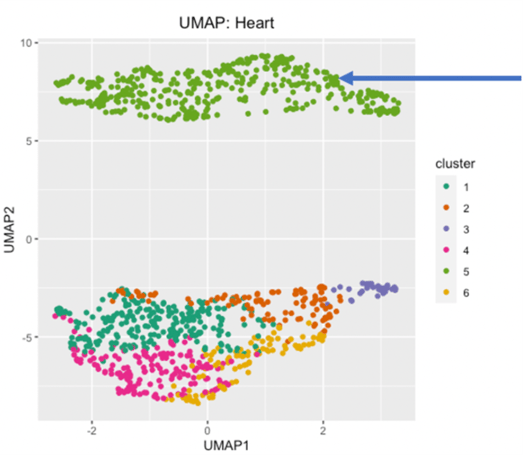 UMAP-2